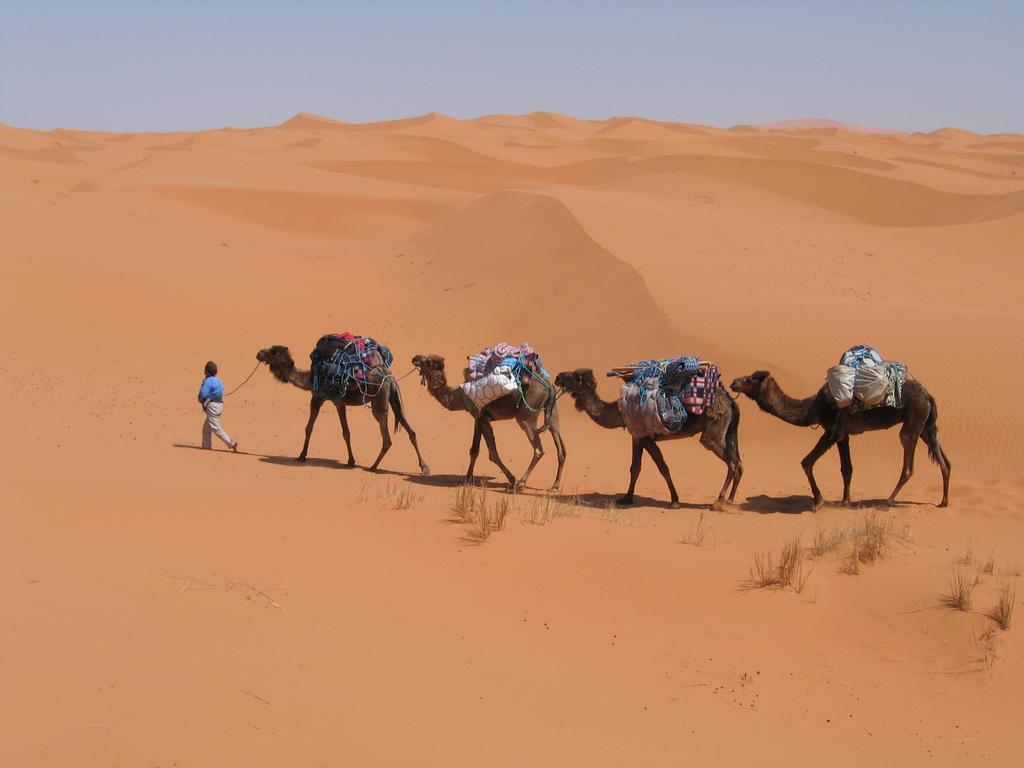 Отель Camel Trek Bivouac Мерзуга Номер фото